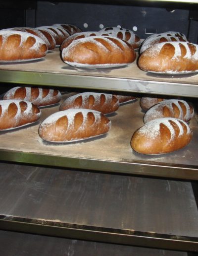 daub-thermoroll-brot