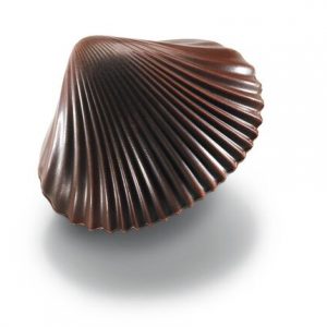 Bomboane de ciocolata Coquillages Praline Noir 1,8kg