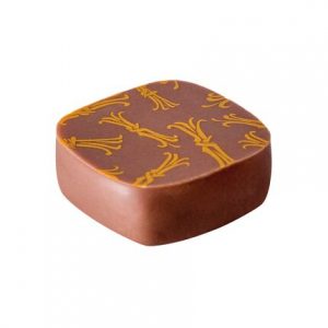 Bomboane de ciocolata Ganache Vanille 2kg